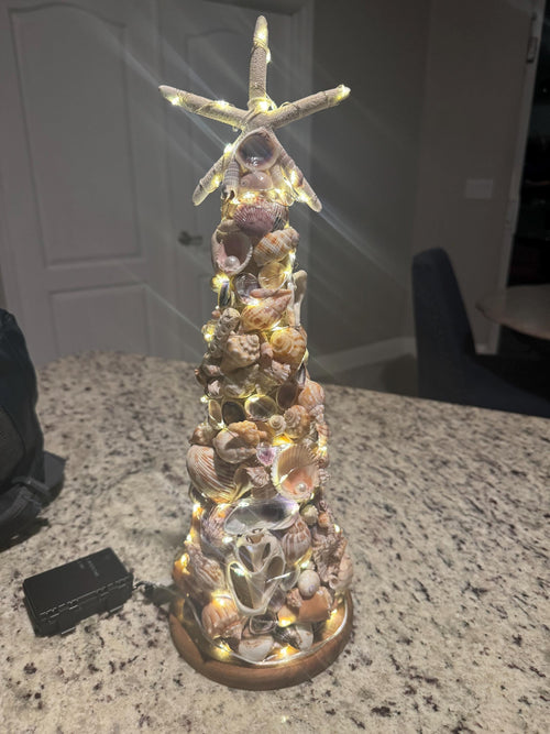 17.5" Coastal Seashell Tree with hand-Gathered Seashells Beach Decor from SWFL Beaches